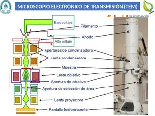 48
MICROSCOPIO ELECTRÓNICO DE TRANSMISIÓN (TEM)
 