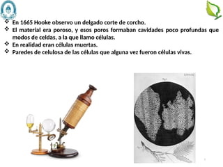 5
 En 1665 Hooke observo un delgado corte de corcho.
 El material era poroso, y esos poros formaban cavidades poco profundas que
modos de celdas, a la que llamo células.
 En realidad eran células muertas.
 Paredes de celulosa de las células que alguna vez fueron células vivas.
 