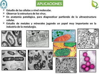 50
APLICACIONES
 Estudio de las células a nivel molecular.
 Observar la estructura de los virus.
 En anatomía patológica, para diagnosticar partiendo de la ultraestructura
celular.
 Estudio de metales y minerales jugando un papel muy importante en la
industria de la metalurgia.
 