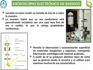 52
 Consiste en hacer incidir un barrido de haz de ē sobre
la muestra.
 La muestra (salvo que ya sea conductora) está
generalmente recubierta con una capa muy fina de
oro o carbón, lo que le otorga propiedades
conductoras.
 Permite la observación y caracterización superficial
de materiales inorgánicos y orgánicos, entregando
información morfológica del material analizado.
 A partir de él se producen distintos tipos de señal
que se generan desde la muestra y se utilizan para
examinar muchas de sus características.
MICROSCOPIO ELECTRÓNICO DE BARRIDO
 