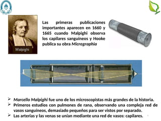 6
 Marcello Malpighi fue uno de los microscopistas más grandes de la historia.
 Primeros estudios con pulmones de rana, observando una compleja red de
vasos sanguíneos, demasiado pequeños para ser vistos por separado.
 Las arterias y las venas se unían mediante una red de vasos: capilares.
Las primeras publicaciones
importantes aparecen en 1660 y
1665 cuando Malpighi observa
los capilares sanguíneos y Hooke
publica su obra Micrographia
 