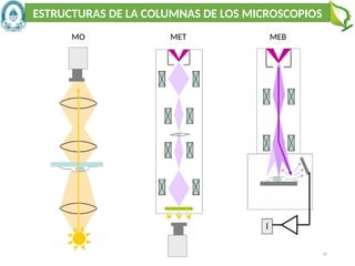 62
ESTRUCTURAS DE LA COLUMNAS DE LOS MICROSCOPIOS
MO MET MEB
 