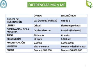 64
ÓPTICO ELECTRÓNICO
FUENTE DE
ILUMINACIÓN Luz (natural/artificial) Haz de ē
LENTES Cristal Electromganéticas
OBSERVACIÓN DE LA
MUESTRA Ocular (directa) Pantalla (indirecta)
TUBO SIN vacío Al vacío
RESOLUCIÓN 0,1 µm 0,001 µm
MAGNIFICACIÓN 2.000 X 1.000.000 X
MUESTRA Viva o muerta Muerta y deshidratada
COSTO Desde $ 180.000 Desde $ 30.000.000
DIFERENCIAS MO y ME
 