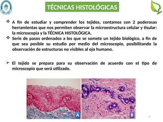 68
 A fin de estudiar y comprender los tejidos, contamos con 2 poderosas
herramientas que nos permiten observar la microestructura celular y tisular:
la microscopía y la TÉCNICA HISTOLÓGICA.
 Serie de pasos ordenados a los que se somete un tejido biológico, a fin de
que sea posible su estudio por medio del microscopio, posibilitando la
observación de estructuras no visibles al ojo humano.
TÉCNICAS HISTOLÓGICAS
 El tejido se prepara para su observación de acuerdo con el tipo de
microscopio que será utilizado.
 