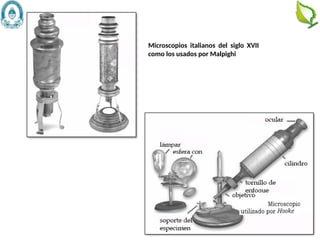 7
Microscopios italianos del siglo XVII
como los usados por Malpighi
 