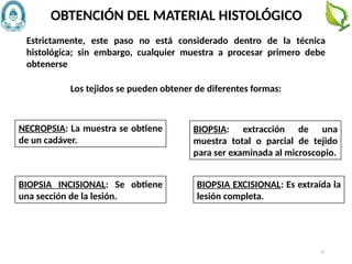 70
Los tejidos se pueden obtener de diferentes formas:
OBTENCIÓN DEL MATERIAL HISTOLÓGICO
BIOPSIA: extracción de una
muestra total o parcial de tejido
para ser examinada al microscopio.
Estrictamente, este paso no está considerado dentro de la técnica
histológica; sin embargo, cualquier muestra a procesar primero debe
obtenerse
NECROPSIA: La muestra se obtiene
de un cadáver.
BIOPSIA INCISIONAL: Se obtiene
una sección de la lesión.
BIOPSIA EXCISIONAL: Es extraída la
lesión completa.
 