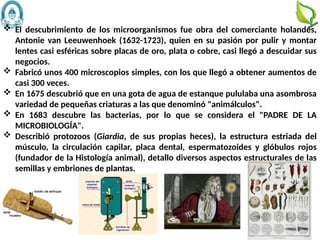  El descubrimiento de los microorganismos fue obra del comerciante holandés,
Antonie van Leeuwenhoek (1632-1723), quien en su pasión por pulir y montar
lentes casi esféricas sobre placas de oro, plata o cobre, casi llegó a descuidar sus
negocios.
 Fabricó unos 400 microscopios simples, con los que llegó a obtener aumentos de
casi 300 veces.
 En 1675 descubrió que en una gota de agua de estanque pululaba una asombrosa
variedad de pequeñas criaturas a las que denominó "animálculos".
 En 1683 descubre las bacterias, por lo que se considera el "PADRE DE LA
MICROBIOLOGÍA".
 Describió protozoos (Giardia, de sus propias heces), la estructura estriada del
músculo, la circulación capilar, placa dental, espermatozoides y glóbulos rojos
(fundador de la Histología animal), detallo diversos aspectos estructurales de las
semillas y embriones de plantas.
8
 
