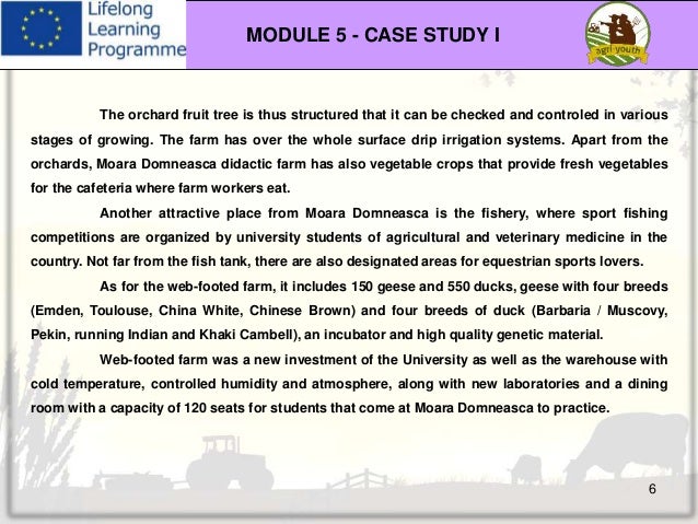 Teaching styles image