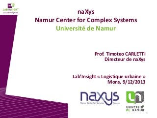 naXys
Namur Center for Complex Systems
Université de Namur

Prof. Timoteo CARLETTI
Directeur de naXys
Lab’Insight « Logistique urbaine »
Mons, 9/12/2013

1

 