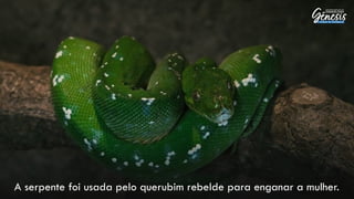 A serpente foi usada pelo querubim rebelde para enganar a mulher.
 