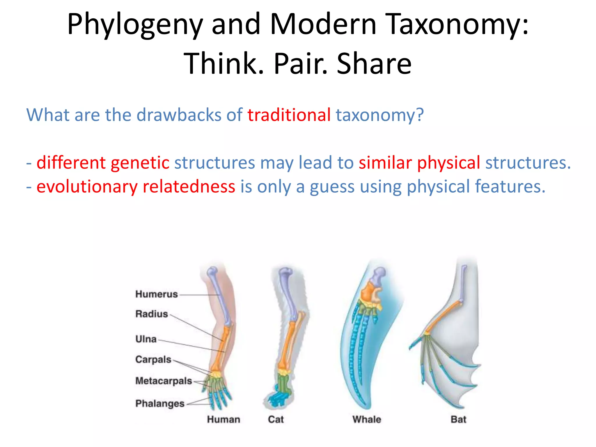 Phylogeny and Modern Taxonomy:
Think. Pair. Share
What are the drawbacks of traditional taxonomy?
- different genetic structures may lead to similar physical structures.
- evolutionary relatedness is only a guess using physical features.
 