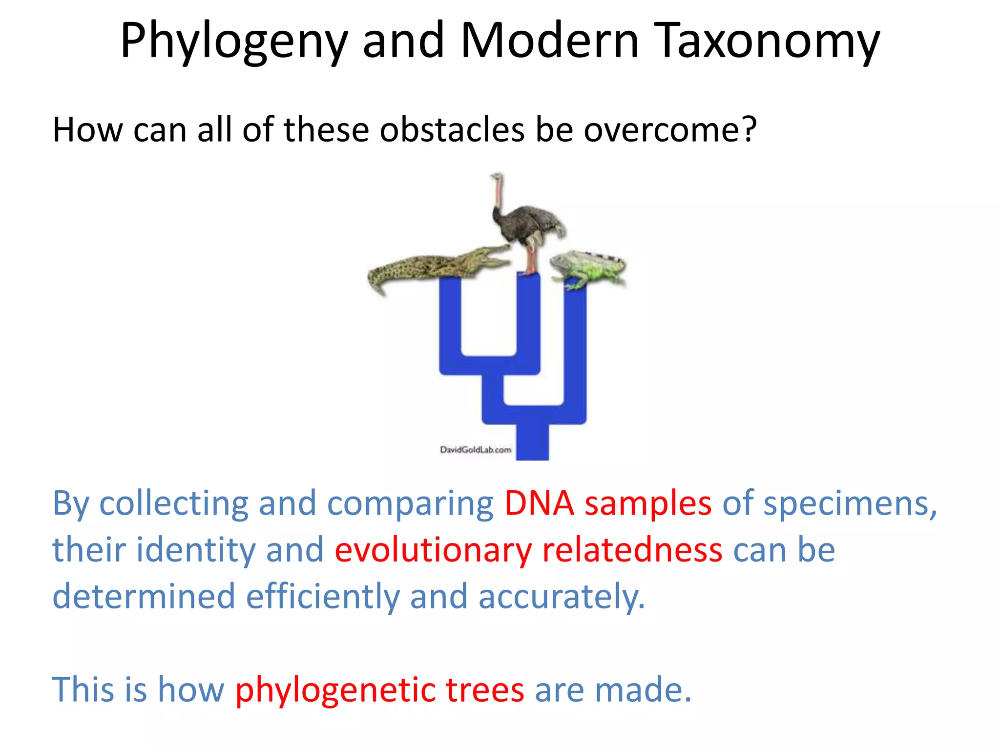 How can all of these obstacles be overcome?
By collecting and comparing DNA samples of specimens,
their identity and evolutionary relatedness can be
determined efficiently and accurately.
This is how phylogenetic trees are made.
Phylogeny and Modern Taxonomy
 