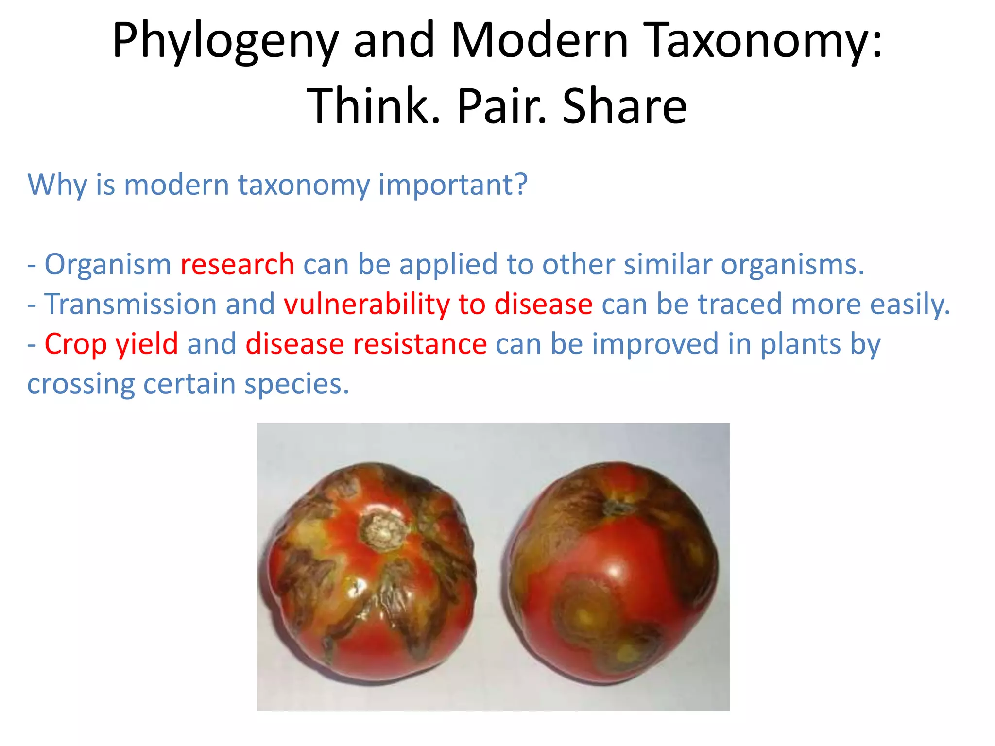 Phylogeny and Modern Taxonomy:
Think. Pair. Share
Why is modern taxonomy important?
- Organism research can be applied to other similar organisms.
- Transmission and vulnerability to disease can be traced more easily.
- Crop yield and disease resistance can be improved in plants by
crossing certain species.
 