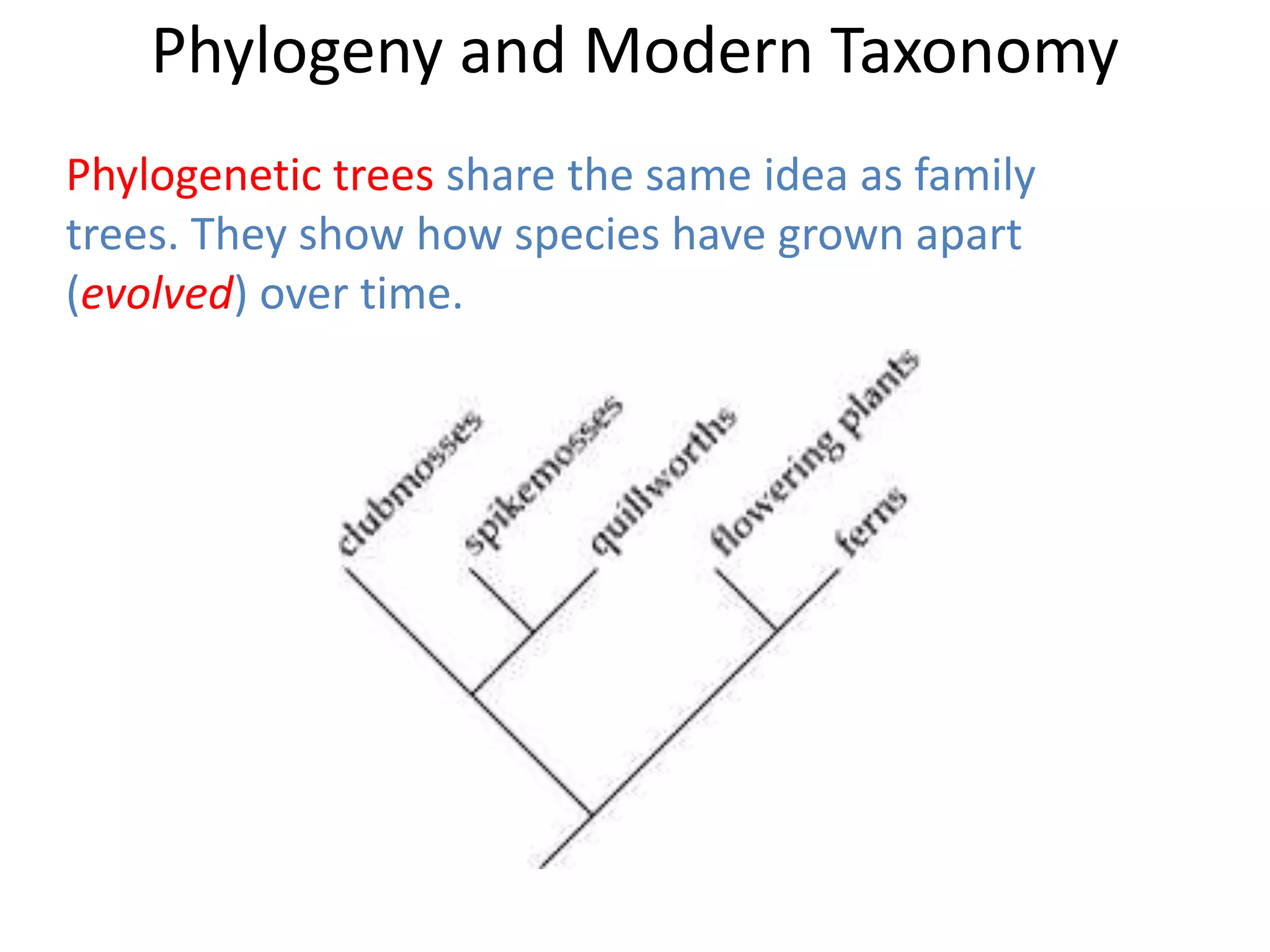 Phylogenetic trees share the same idea as family
trees. They show how species have grown apart
(evolved) over time.
Phylogeny and Modern Taxonomy
 