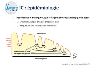 Pourquoi Notre Vision De L Insuffisance Cardiaque Aigue Doit Changer