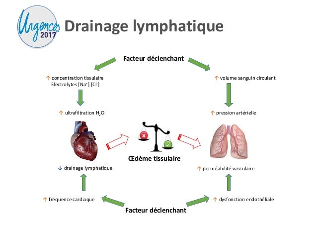 Pourquoi notre vision de l'insuffisance cardiaque aiguë ...