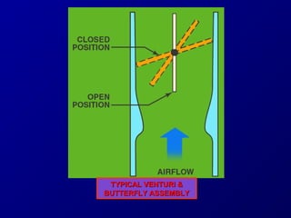 TTYYPPIICCAALL VVEENNTTUURRII && 
BBUUTTTTEERRFFLLYY AASSSSEEMMBBLLYY 
 