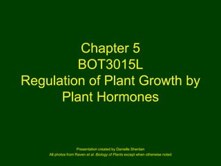 Chapter 5
BOT3015L
Regulation of Plant Growth by
Plant Hormones
Presentation created by Danielle Sherdan
All photos from Raven et al. Biology of Plants except when otherwise noted
 