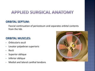 ORBITAL SEPTUM:
Fascial continuation of periosteum and separates orbital contents
from the lids
ORBITAL MUSCLES:
• Orbicularis oculi
• Levator palpebrae superioris
• Recti
• Superior oblique
• Inferior oblique
• Medial and lateral canthal tendons
 