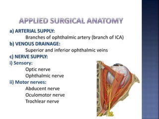 a) ARTERIAL SUPPLY:
Branches of ophthalmic artery (branch of ICA)
b) VENOUS DRAINAGE:
Superior and inferior ophthalmic veins
c) NERVE SUPPLY:
i) Sensory:
Optic nerve
Ophthalmic nerve
ii) Motor nerves:
Abducent nerve
Oculomotor nerve
Trochlear nerve
 