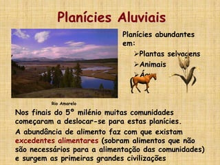 Planícies Aluviais
Nos finais do 5º milénio muitas comunidades
começaram a deslocar-se para estas planícies.
A abundância de alimento faz com que existam
excedentes alimentares (sobram alimentos que não
são necessários para a alimentação das comunidades)
e surgem as primeiras grandes civilizações
Rio Amarelo
Planícies abundantes
em:
Plantas selvagens
Animais
Água
 