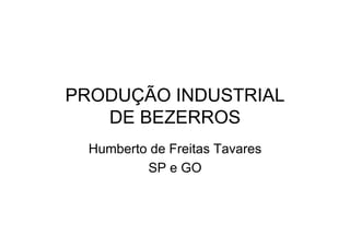 PRODUÇÃO INDUSTRIAL
   DE BEZERROS
  Humberto de Freitas Tavares
          SP e GO
 