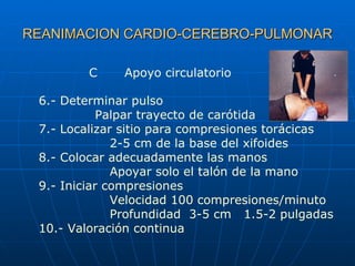 REANIMACION CARDIO-CEREBRO-PULMONAR C Apoyo circulatorio 6.- Determinar pulso   Palpar trayecto de carótida 7.- Localizar ...