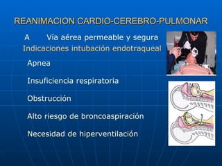 REANIMACION CARDIO-CEREBRO-PULMONAR A Vía aérea permeable y segura Apnea Insuficiencia respiratoria  Obstrucción    Alto r...