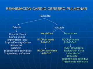 REANIMACION CARDIO-CEREBRO-PULMONAR Paciente Estable Historia clínica Signos vitales Exploración física Impresión diagnóst...