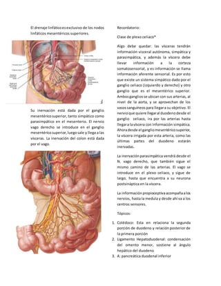 El drenaje linfático es exclusivo de los nodos 
linfáticos mesentéricos superiores. 
Su inervación está dada por el ganglio 
mesentérico superior, tanto simpático como 
parasimpático en el mesenterio. El nervio 
vago derecho se introduce en el ganglio 
mesentérico superior, luego sale y llega a las 
vísceras. La inervación del colon está dada 
por el vago. 
Recordatorio: 
Clase de plexo celiaco* 
Algo debe quedar: las vísceras tendrán 
información visceral autónoma, simpática y 
parasimpática, y además la víscera debe 
llevar información a la corteza 
somatosensorial, y es información se llama 
información aferente sensorial. Es por esto 
que existe un sistema simpático dado por el 
ganglio celiaco (izquierdo y derecho) y otro 
ganglio que es el mesentérico superior. 
Ambos ganglios se ubican con sus arterias, al 
nivel de la aorta, y se aprovechan de los 
vasos sanguíneos para llegar a su objetivo. El 
nervio que quiere llegar al duodeno desde el 
ganglio celiaco, ira por las arterias hasta 
llegar a la víscera con información simpática. 
Ahora desde el ganglio mesentérico superior, 
la víscera irrigada por esta arteria, como las 
últimas partes del duodeno estarán 
inervadas. 
La inervación parasimpática vendrá desde el 
N. vago derecho, que también sigue el 
mismo camino de las arterias. El vago se 
introduce en el plexo celiaco, y sigue de 
largo, hasta que encuentra a su neurona 
postsináptica en la víscera. 
La información propioceptiva acompaña a los 
nervios, hasta la medula y desde ahí va a los 
centros sensores. 
Tópicos: 
1. Colédoco: Esta en relaciona la segunda 
porción de duodeno y relación posterior de 
la primera porción 
2. Ligamento Hepatoduodenal: condensación 
del omento menor, sostiene al ángulo 
hepático del duodeno 
3. A: pancreática duodenal inferior 
 