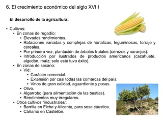 6. El crecimiento económico del siglo XVIII
El desarrollo de la agricultura:
●

Cultivos:
● En zonas de regadío:
● Elevados rendimientos.
● Rotaciones variadas y complejas de hortalizas, leguminosas, forraje y
cereales.
● Por primera vez, plantación de árboles frutales (cerezos y naranjos).
● Introducción
por ilustrados de productos americanos (cacahuete,
algodón, maíz; solo este tuvo éxito).
● En zonas de secano:
● Vid:
● Carácter comercial.
● Extensión por casi todas las comarcas del país.
● Vinos de gran calidad, aguardiente y pasas.
● Olivo.
● Algarrobo (para alimentación de las bestias).
● Rendimientos muy irregulares.
● Otros cultivos “industriales”:
● Barrilla en Elche y Alicante, para sosa cáustica.
● Cáñamo en Castellón.

 