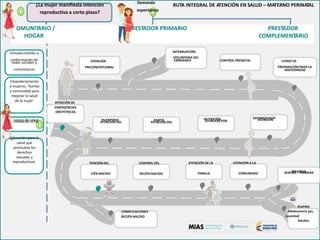 C
Ca
se
P
POR
A
RE
espontánea
VOLUNTARIA DEL
conformación de
PREPARACIÓN PARA LAPRECONCEPCIONAL
comunitarias
ATENCIÓNATENCIÓN PORnalización a los ATENCIÓN DEL ATENCIÓN DEL
RIAPMS – PRIMERACOMUNIDADFAMILIACIÉN NACIDO RECIÉN NACIDO
¿La mujer manifiesta intención Demanda
RUTA INTEGRAL DE ATENCIÓN EN SALUD – MATERNO PERINATAL
reproductiva a corto plazo?
OMUNITARIO / RESTADOR PRIMARIO PRESTADOR
HOGAR COMPLEMENTARIO
Fortalecimiento o INTERRUPCIÓN
redes sociales y ATENCIÓN EMBARAZO CONTROL PRENATAL CURSO DE
MATERNIDAD
Empoderamiento
a mujeres, familia
y comunidad para
mejorar la salud
de la mujer ATENCIÓN DE
EMERGENCIAS
OBSTÉTRICAS
rvicios de salud PUERPERIO PARTO NUTRICIÓN ODONTOLOGÍA
Educación para la
salud que
promueva los
derechos
sexuales y
reproductivos TENCIÓN DEL CONTROL DEL ATENCIÓN DE LA ATENCIÓN A LA
INFANCIA
RIAPMS
COMPLICACIONES Adolescencia DEL
RECIÉN NACIDO Juventud
Adultez
 