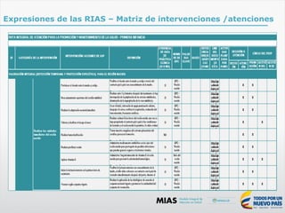 Expresiones de las RIAS – Matriz de intervenciones /atenciones
 