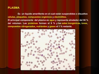 PLASMA
Es un líquido amarillento en el cual están suspendidos o disueltos
células, plaquetas, compuestos orgánicos y electrólitos.
El principal componente del plasma es agua y representa alrededor del 90 %
del volumen. Las proteínas forman el 9 % y las sales inorgánicas, iones,
compuestos nitrogenados, nutrientes y gases el 1 % restante.
 