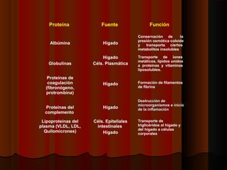 Albúmina Hígado
Conservación de la
presión osmótica coloide
y transporta ciertos
metabolitos insolubles
Globulinas
Hígado
Céls. Plasmática
Transporte de iones
metálicos, lípidos unidos
a proteínas y vitaminas
liposolubles.
Proteínas de
coagulación
(fibronógeno,
protrombina)
Hígado Formación de filamentos
de fibrina
Proteínas del
complemento
Hígado
Destrucción deDestrucción de
microorganismos e iniciomicroorganismos e inicio
de la inflamaciónde la inflamación
Lipoproteínas del
plasma (VLDL, LDL,
Quilomicrones)
Céls. Epiteliales
intestinales
Hígado
Transporte de
triglicéridos al hígado y
del hígado a células
corporales
Proteína Fuente Función
 