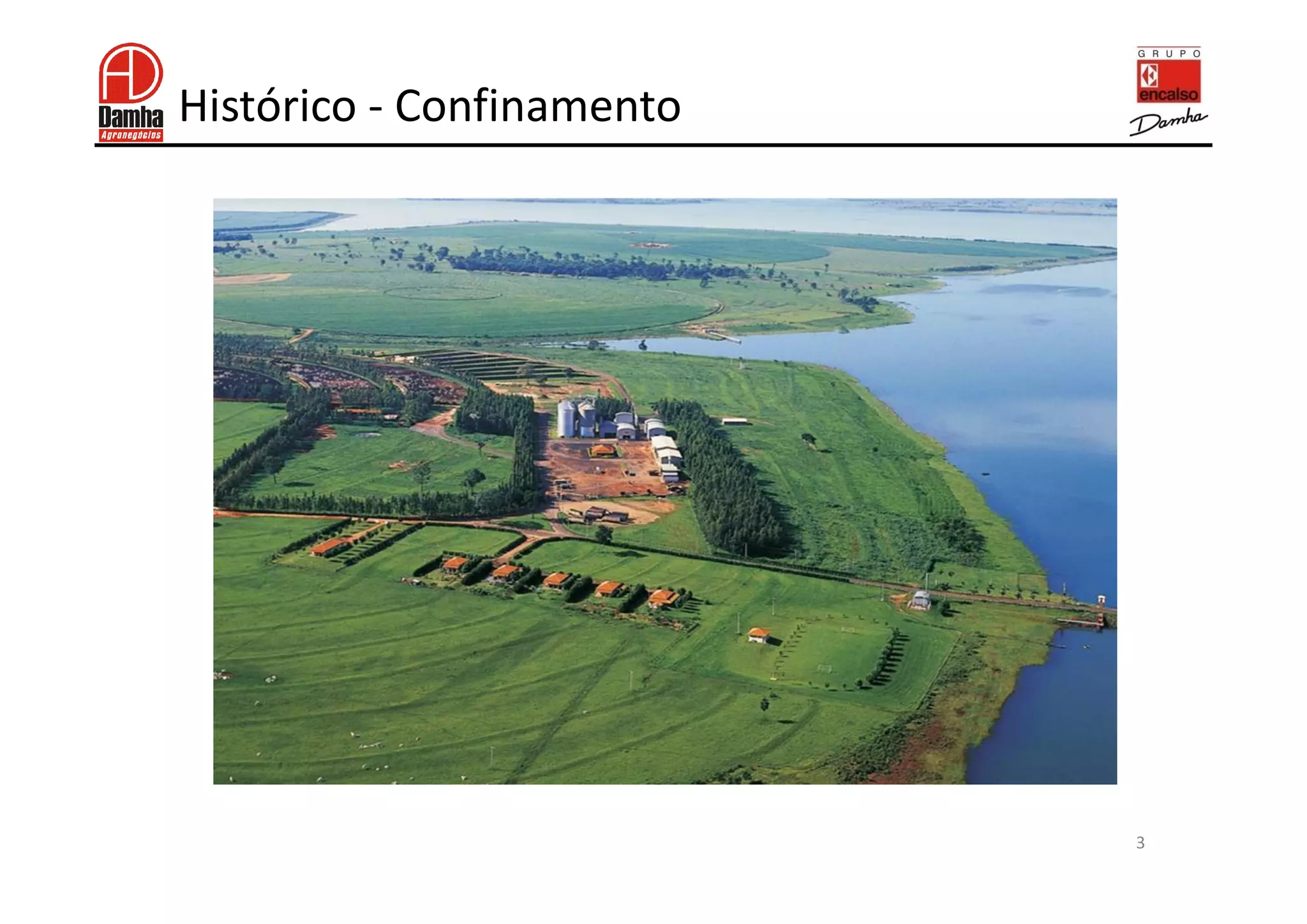 Histórico - Confinamento




                           3
 