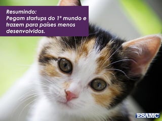 Além de Google,
Facebook e
Instagram, temos
também o Buscapé,
do Brasil
 