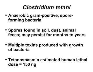 Clostridium tetani 
• Anaerobic gram-positive, spore-forming 
bacteria 
• Spores found in soil, dust, animal 
feces; may persist for months to years 
• Multiple toxins produced with growth 
of bacteria 
• Tetanospasmin estimated human lethal 
dose = 150 ng 
 