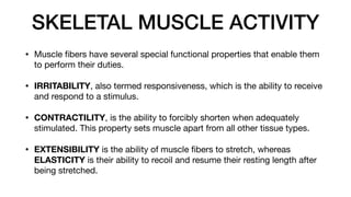 SKELETAL MUSCLE ACTIVITY
• Muscle
fi
bers have several special functional properties that enable them
to perform their duties.
• IRRITABILITY, also termed responsiveness, which is the ability to receive
and respond to a stimulus.
• CONTRACTILITY, is the ability to forcibly shorten when adequately
stimulated. This property sets muscle apart from all other tissue types.
• EXTENSIBILITY is the ability of muscle
fi
bers to stretch, whereas
ELASTICITY is their ability to recoil and resume their resting length after
being stretched.
 