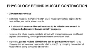 PHYSIOLOGY BEHIND MUSCLE CONTRACTION
• GRADED RESPONSES
• In skeletal muscles, the “all-or-none” law of muscle physiology applies to the
muscle
fi
ber, not to the whole muscle.
• It states that a muscle
fi
ber will contract to its fullest extent when it is
stimulated adequately; it never partially contracts.
• However, the whole muscle reacts to stimuli with graded responses, or di
ff
erent
degrees of shortening, which generate di
ff
erent amounts of force.
• In general, graded muscle contractions can be produced two ways: (1) by
changing the frequency of muscle stimulation and (2) by changing the number of
muscle
fi
bers being stimulated at one time
 
