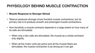 PHYSIOLOGY BEHIND MUSCLE CONTRACTION
• Muscle Response to Stronger Stimuli
• Tetanus produces stronger (more forceful) muscle contractions, but its
primary role is to produce smooth and prolonged muscle contractions.
• How forcefully a muscle contracts depends to a large extent on how many of
its cells are stimulated.
• When only a few cells are stimulated, the muscle as a whole contracts
only slightly.
• When all the motor units are active and all the muscle
fi
bers are
stimulated, the muscle contraction is as strong as it can get.
 