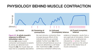 PHYSIOLOGY BEHIND MUSCLE CONTRACTION
 