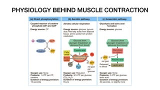 PHYSIOLOGY BEHIND MUSCLE CONTRACTION
 