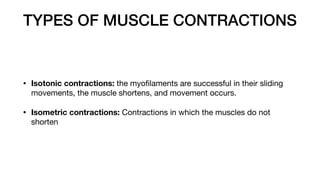 TYPES OF MUSCLE CONTRACTIONS
• Isotonic contractions: the myo
fi
laments are successful in their sliding
movements, the muscle shortens, and movement occurs.
• Isometric contractions: Contractions in which the muscles do not
shorten
 