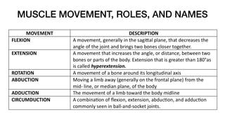 MUSCLE MOVEMENT, ROLES, AND NAMES
 