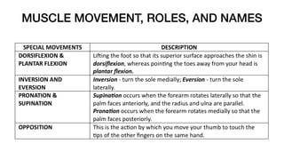 MUSCLE MOVEMENT, ROLES, AND NAMES
 
