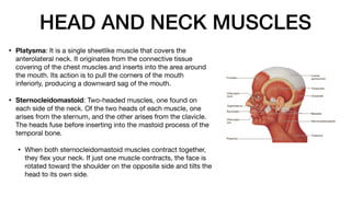 HEAD AND NECK MUSCLES
• Platysma: It is a single sheetlike muscle that covers the
anterolateral neck. It originates from the connective tissue
covering of the chest muscles and inserts into the area around
the mouth. Its action is to pull the corners of the mouth
inferiorly, producing a downward sag of the mouth.
• Sternocleidomastoid: Two-headed muscles, one found on
each side of the neck. Of the two heads of each muscle, one
arises from the sternum, and the other arises from the clavicle.
The heads fuse before inserting into the mastoid process of the
temporal bone.
• When both sternocleidomastoid muscles contract together,
they
fl
ex your neck. If just one muscle contracts, the face is
rotated toward the shoulder on the opposite side and tilts the
head to its own side.
 