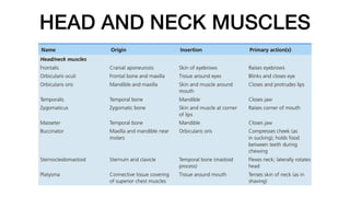 HEAD AND NECK MUSCLES
 