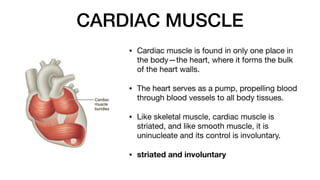 CARDIAC MUSCLE
• Cardiac muscle is found in only one place in
the body—the heart, where it forms the bulk
of the heart walls.
• The heart serves as a pump, propelling blood
through blood vessels to all body tissues.
• Like skeletal muscle, cardiac muscle is
striated, and like smooth muscle, it is
uninucleate and its control is involuntary.
• striated and involuntary
 
