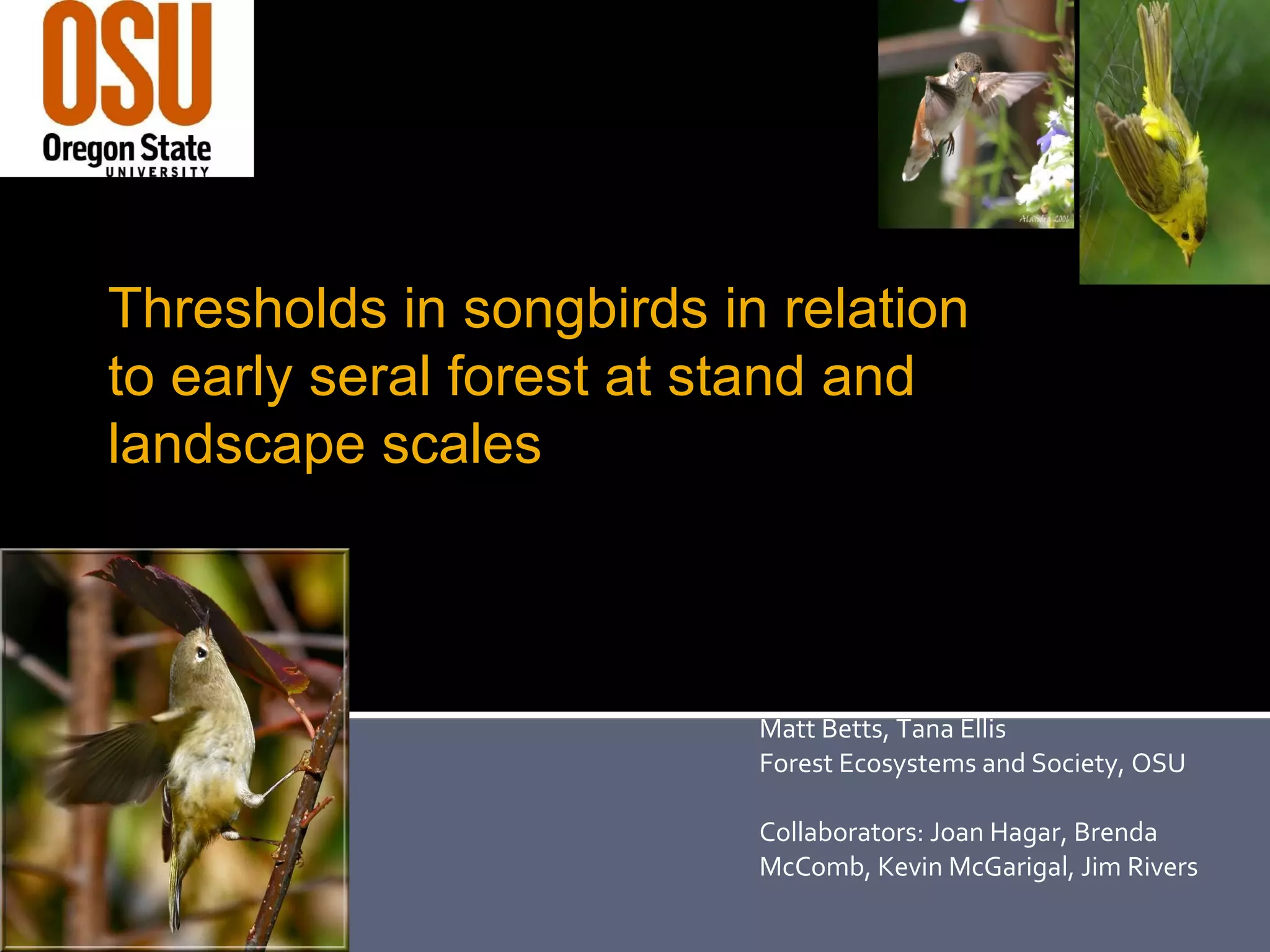 Thresholds In Songbirds In Relation To Early Seral Forest At Stand And